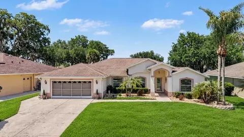 11132 Moshie Ln, San Antonio, FL 33576