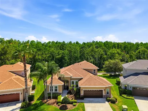 3320 Grassglen Pl, Wesley Chapel, FL 33544