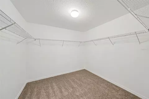 Other - 2436 Spring Hollow Loop, Wesley Chapel, FL 33544 photo 7 of 9