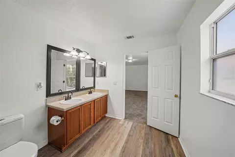 Bath - 2436 Spring Hollow Loop, Wesley Chapel, FL 33544 photo 3 of 4