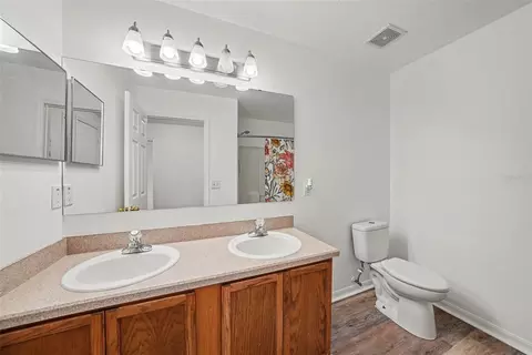 Bath - 2436 Spring Hollow Loop, Wesley Chapel, FL 33544 photo 4 of 4
