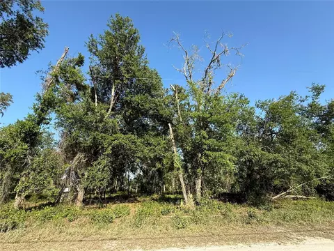 Null Owens Drive, Zephyrhills, FL 33540