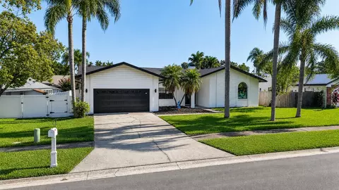 2135 Vance Ave, Palm Harbor, FL 34683
