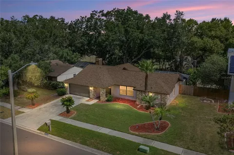 1737 Shady Leaf Dr, Valrico, FL 33596