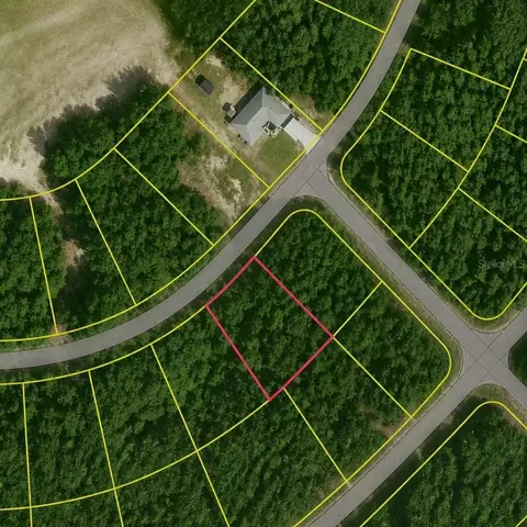 SE Fischer Lane Drive, Ocklawaha, FL 32179
