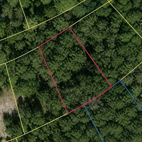 SE Fischer Lane Drive, Ocklawaha, FL 32179