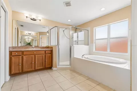 Bath - 8718 Sandy Plains Dr, Riverview, FL 33578 photo 4 of 9
