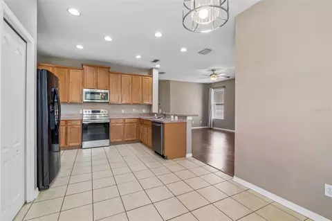 Other - 8718 Sandy Plains Dr, Riverview, FL 33578 photo 3 of 11