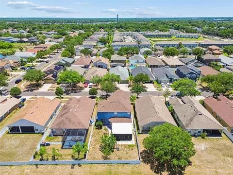 View/Area - 8718 Sandy Plains Dr, Riverview, FL 33578 photo 6 of 10