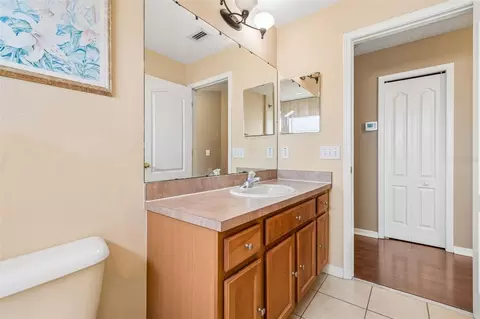 Bath - 8718 Sandy Plains Dr, Riverview, FL 33578 photo 9 of 9