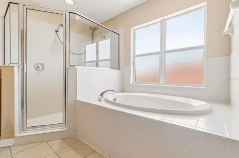 Bath - 8718 Sandy Plains Dr, Riverview, FL 33578 photo 6 of 9