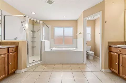 Bath - 8718 Sandy Plains Dr, Riverview, FL 33578 photo 3 of 9