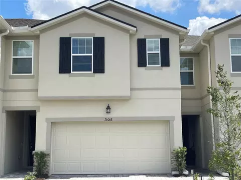26068 Woven Wicker Bnd, Lutz, FL 33559