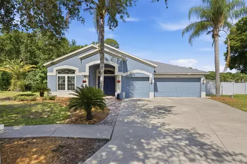 25540 Risen Star Dr, Wesley Chapel, FL 33544