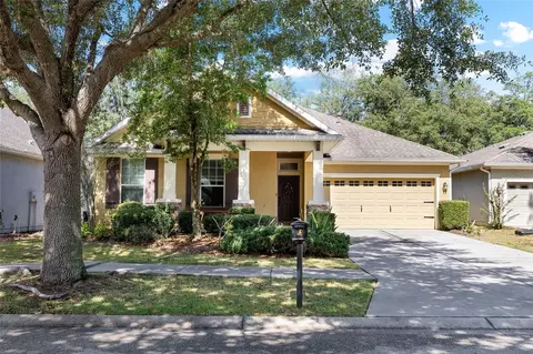 15841 Starling Water Dr, Lithia, FL 33547