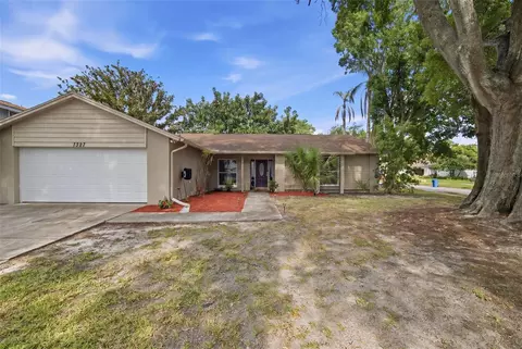 7327 Sunshine Cir, Tampa, FL 33634