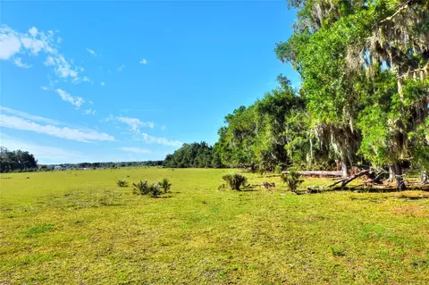 18100 Dorman Rd, Lithia, FL 33547 photo 3