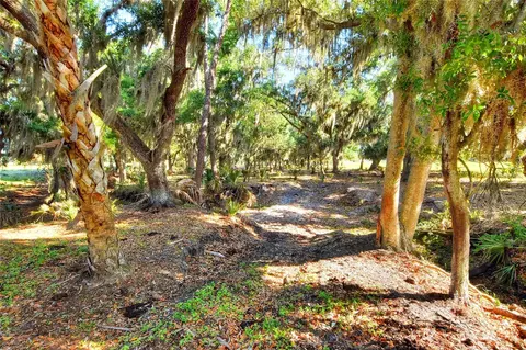 18100 Dorman Rd, Lithia, FL 33547 photo 8