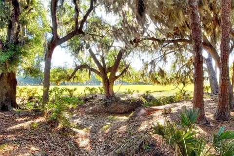 18100 Dorman Rd, Lithia, FL 33547 photo 7
