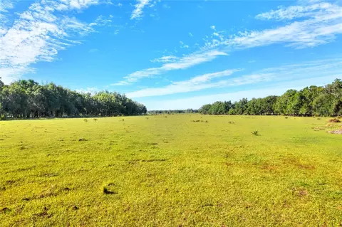 18100 Dorman Rd, Lithia, FL 33547 photo 2