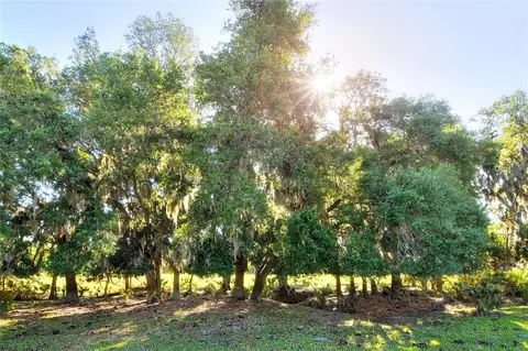 18100 Dorman Rd, Lithia, FL 33547 photo 4