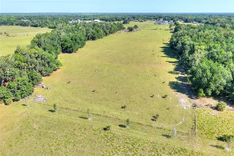 18100 Dorman Rd, Lithia, FL 33547 photo 14