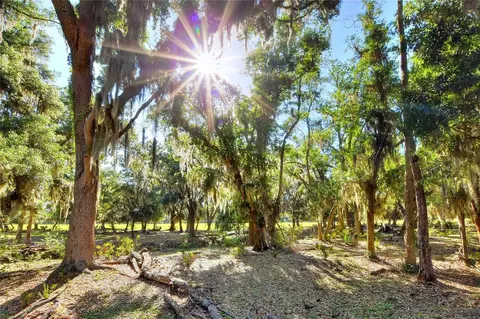 18100 Dorman Rd, Lithia, FL 33547 photo 9
