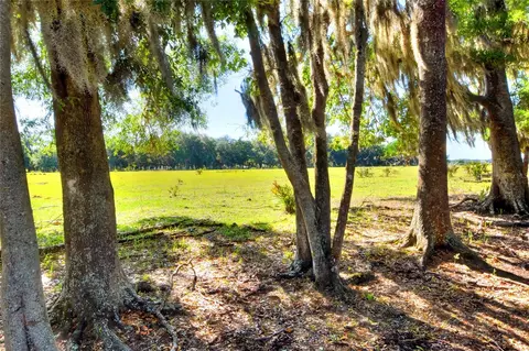 18100 Dorman Rd, Lithia, FL 33547 photo 6