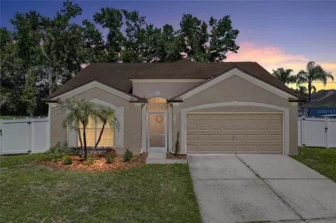 4552 Steel Dust Ln, Lutz, FL 33559