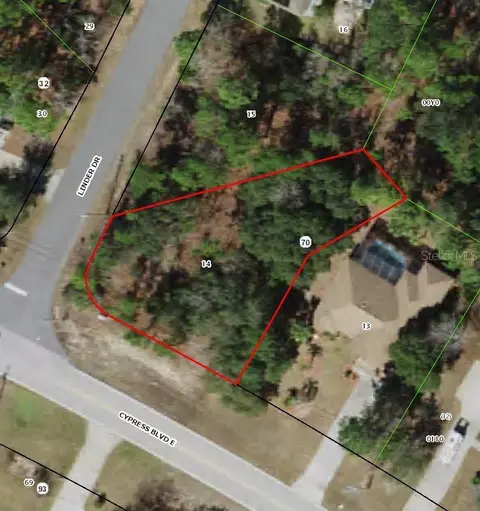 228 Linder Dr, Homosassa, FL 34446