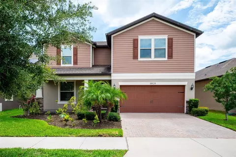 18929 Birchwood Groves Dr, Lutz, FL 33558