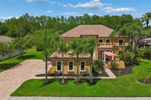 3654 Ballastone Dr, Land O Lakes, FL 34638