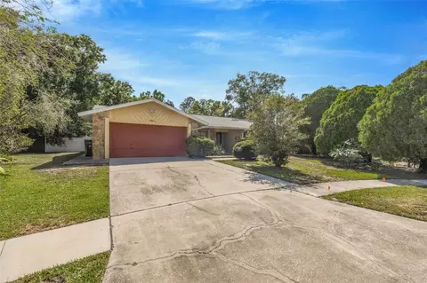 15804 Ironware Pl, Tampa, FL 33624