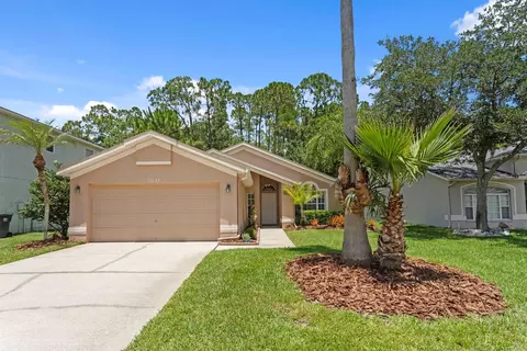16037 Shinnecock Dr, Odessa, FL 33556