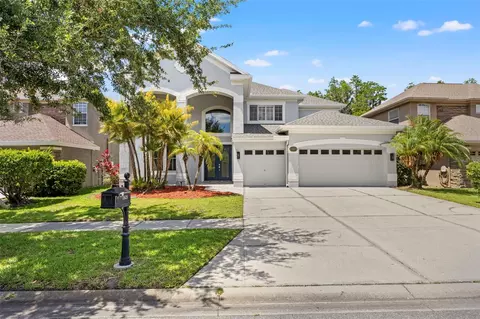11621 Renaissance View Ct, Tampa, FL 33626