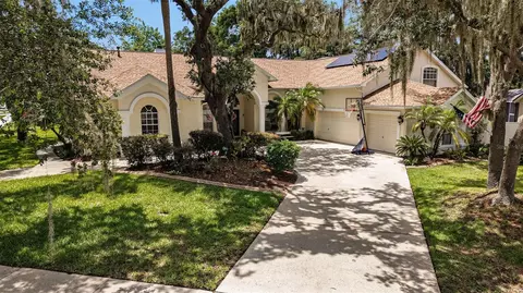 2528 Centennial Falcon Dr, Valrico, FL 33596