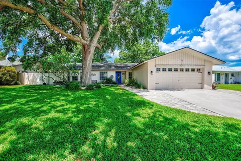 486 Belmist Ct, Dunedin, FL 34698