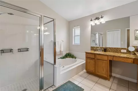 Bath - 30600 Nickerson Loop, Wesley Chapel, FL 33543 photo 3 of 3