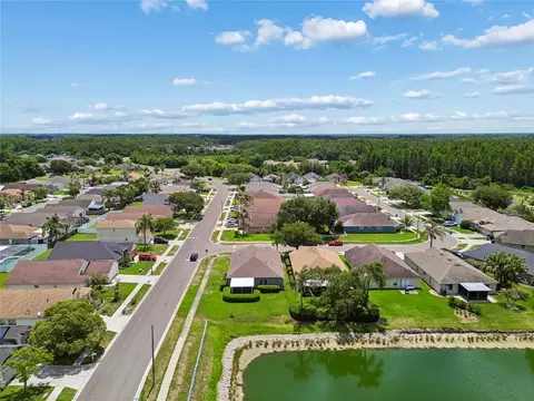 View/Area - 30600 Nickerson Loop, Wesley Chapel, FL 33543 photo 7 of 14