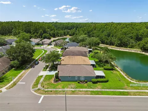 View/Area - 30600 Nickerson Loop, Wesley Chapel, FL 33543 photo 5 of 14