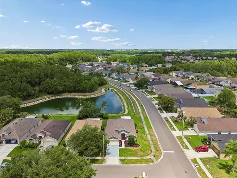View/Area - 30600 Nickerson Loop, Wesley Chapel, FL 33543 photo 6 of 14