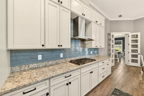 Kitchen - 6951 Crestpoint Dr, Apollo Beach, FL 33572 photo 4 of 8