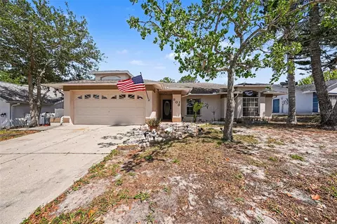 803 High Point Ct, Tarpon Springs, FL 34689
