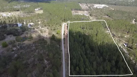 859 Wild Cur Rd, Pierson, FL 32180
