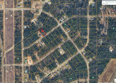 14041 Ricebird Ave, Weeki Wachee, FL 34614