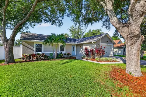 1356 Noell Blvd, Palm Harbor, FL 34683