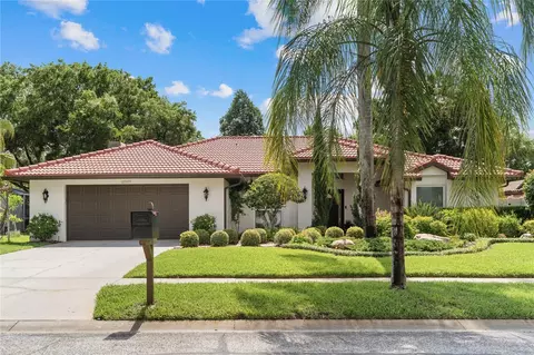 12909 Cinnimon Pl, Tampa, FL 33624