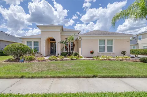 3227 Watermark Dr, Wesley Chapel, FL 33544