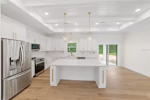 Other - 35425 Nutmeg Dr, Webster, FL 33597 photo 2 of 11