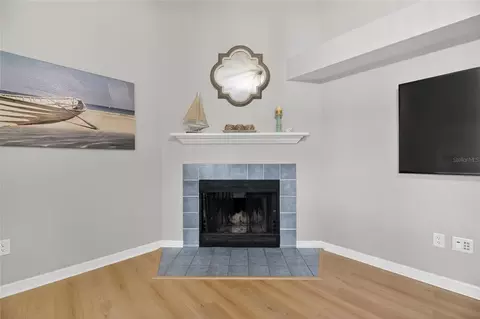 Living - 2078 Shadow Pine Dr, Brandon, FL 33511 photo 5 of 5